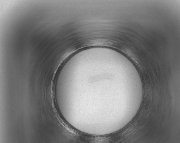 X0000060570848200511101628