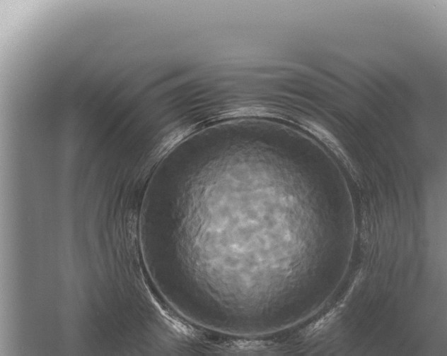 X0000060570849200511101628