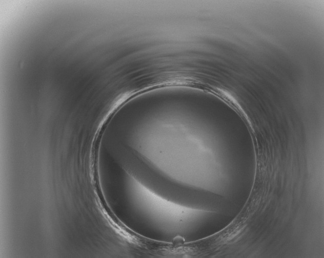 X0000060570851200511101628