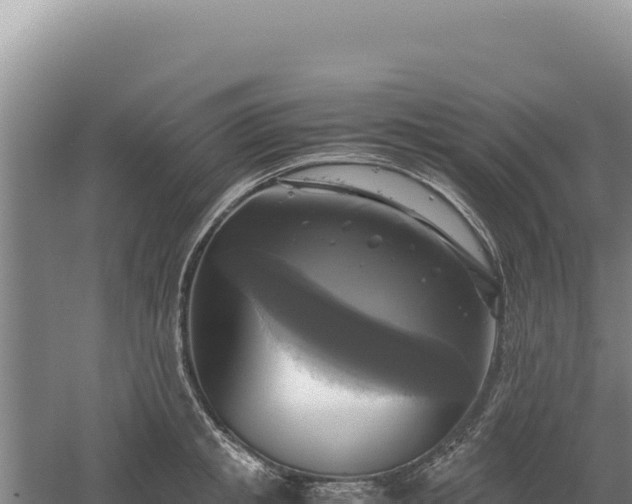 X0000060570853200511101628