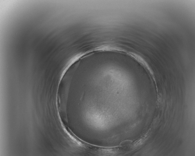 X0000060570855200511101628