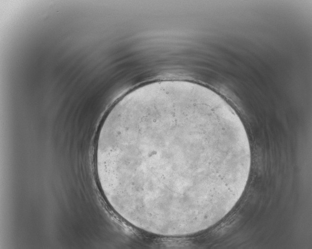 X0000060570856200511101628