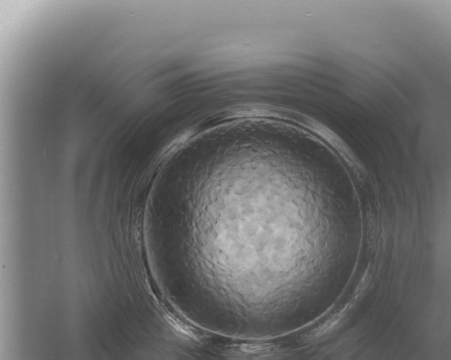 X0000060570857200511101628