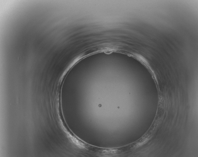 X0000060570859200511101628