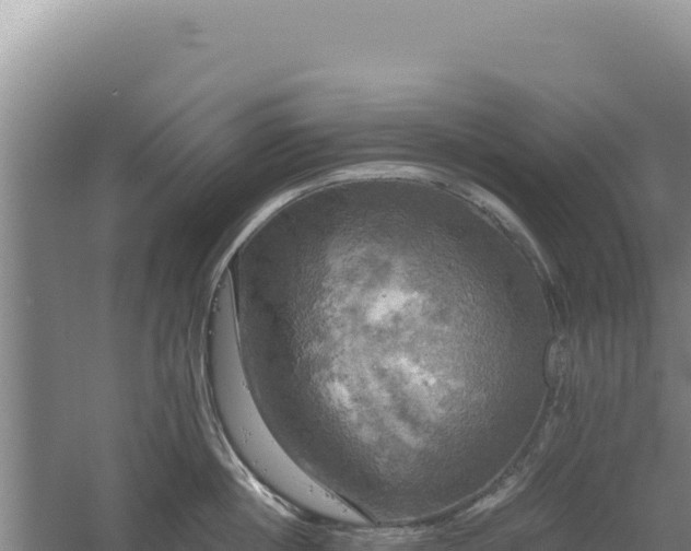 X0000060570860200511101628