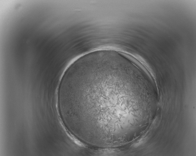 X0000060570862200511101628