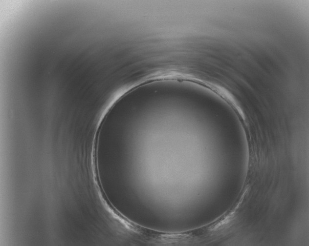 X0000060570863200511101628