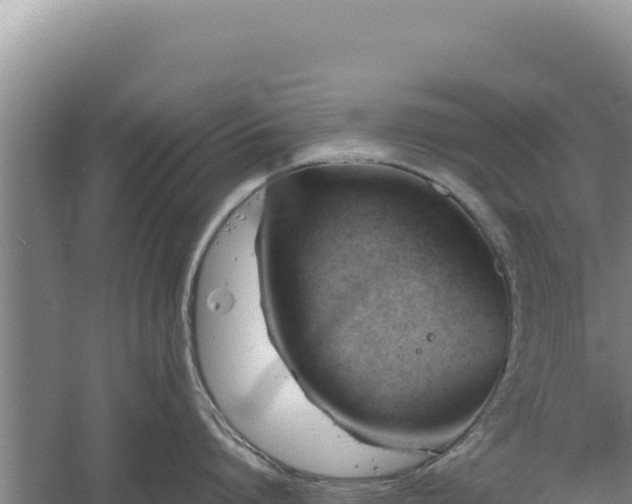 X0000060570864200511101628