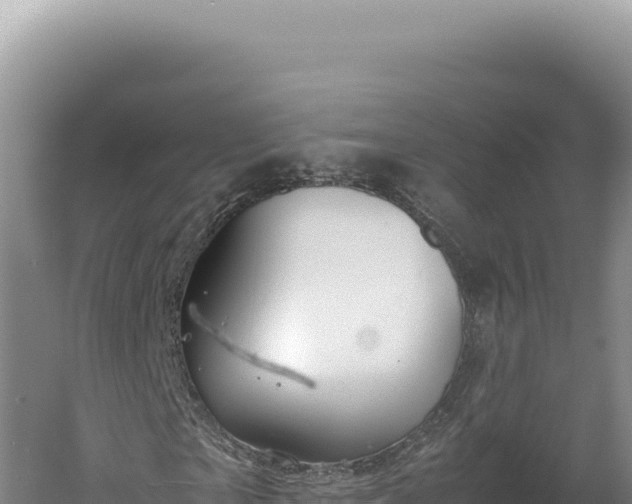 X0000060570865200511101627