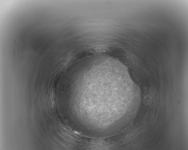 X0000060570866200511101627