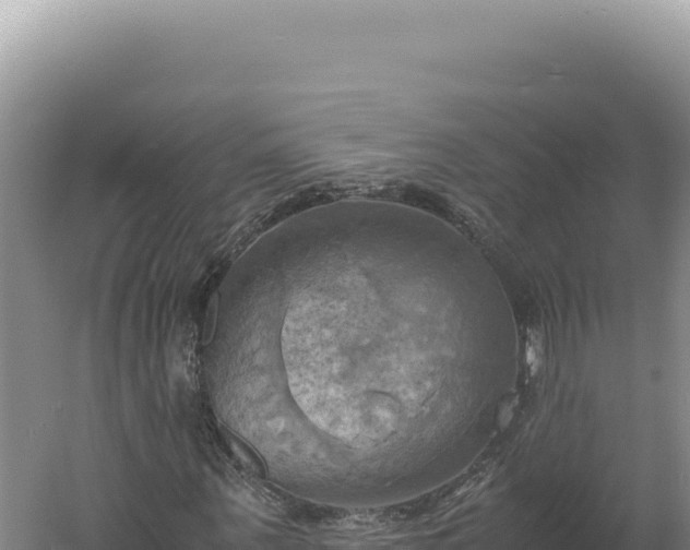 X0000060570867200511101627