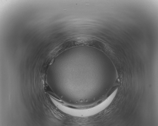 X0000060570868200511101627