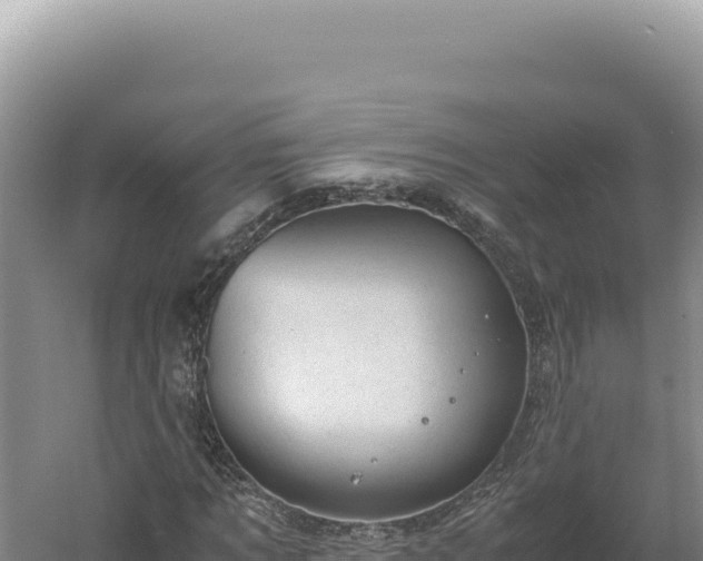 X0000060570869200511101627