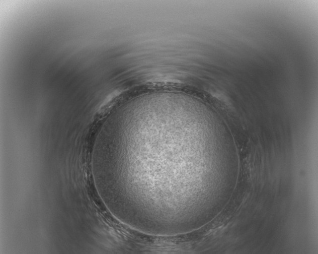 X0000060570870200511101627