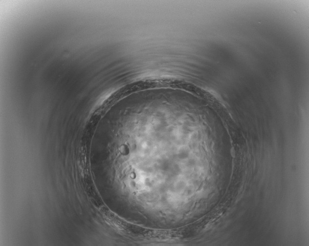 X0000060570871200511101627