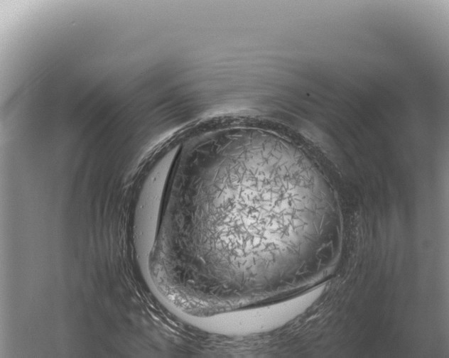 X0000060570872200511101627