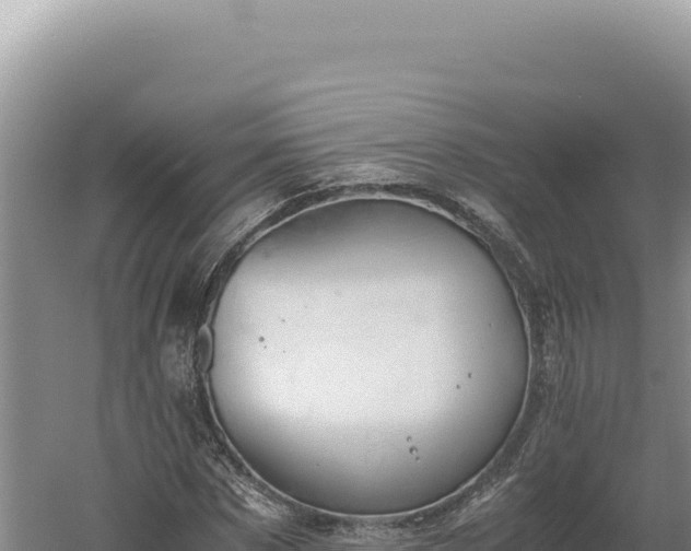 X0000060570873200511101627