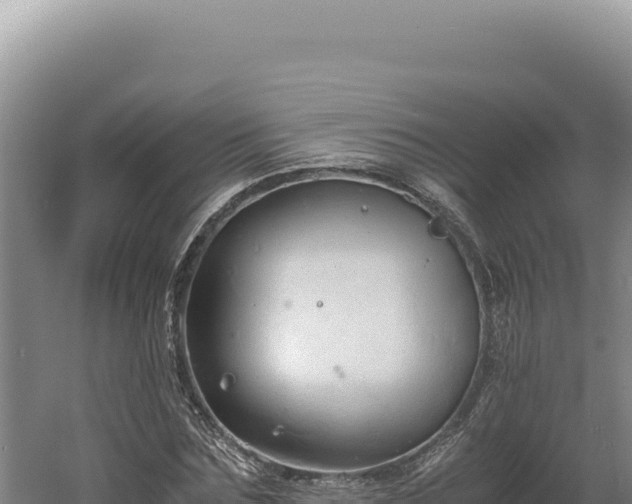 X0000060570875200511101627