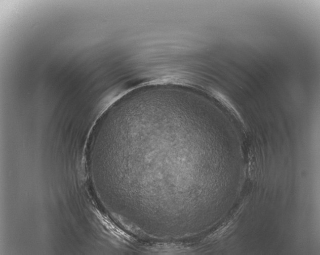 X0000060570876200511101627