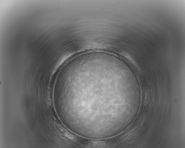 X0000060570878200511101627