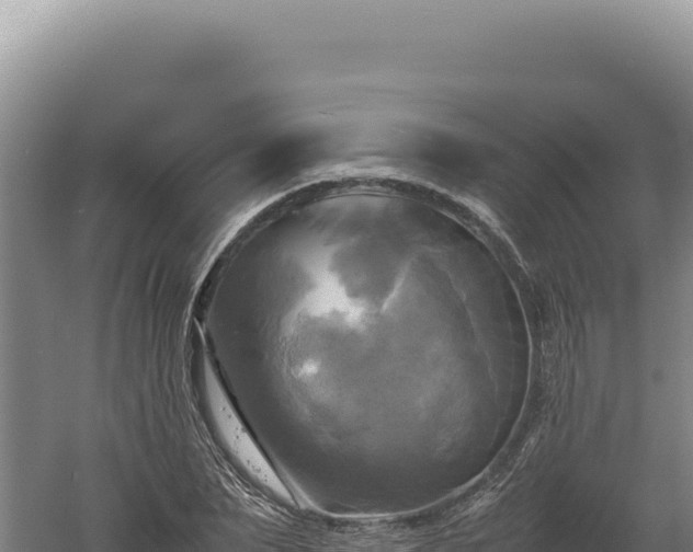 X0000060570879200511101627