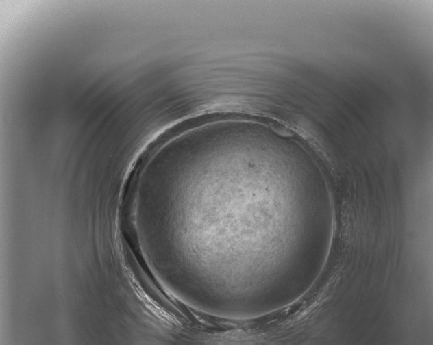 X0000060570880200511101627