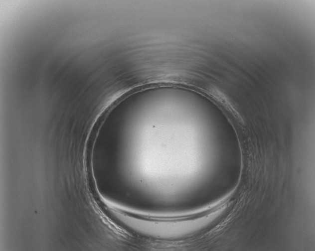 X0000060570884200511101627