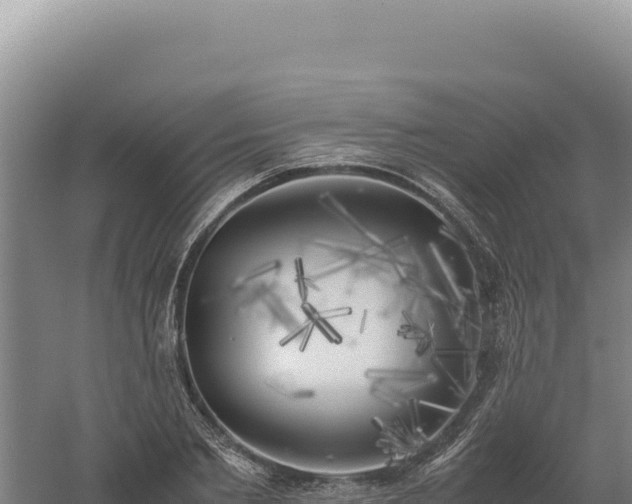 X0000060570885200511101627