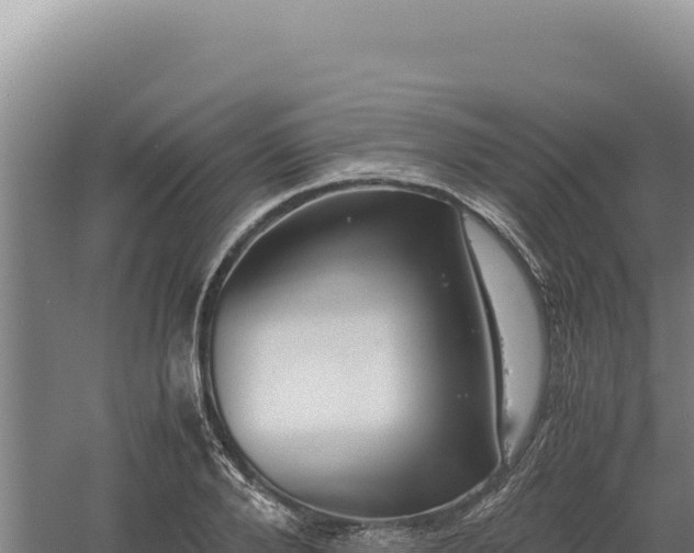 X0000060570888200511101627