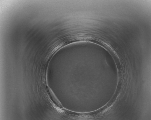 X0000060570889200511101627