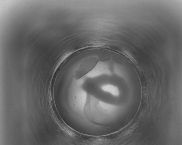 X0000060570891200511101627