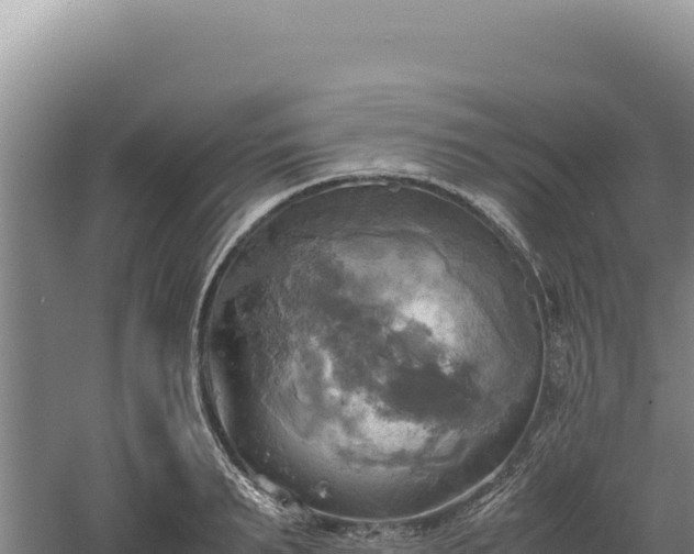 X0000060570895200511101626