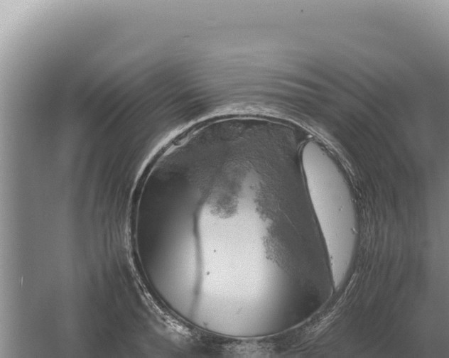 X0000060570896200511101626