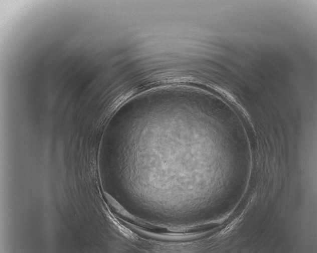 X0000060570897200511101626