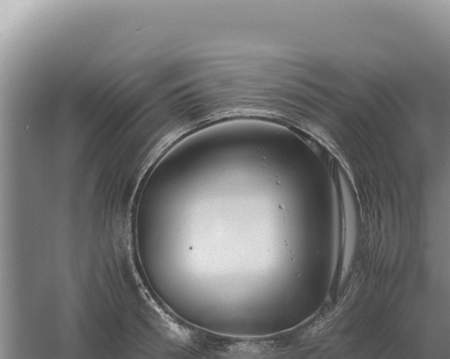 X0000060570898200511101626