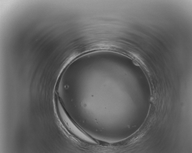 X0000060570899200511101626