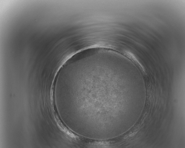 X0000060570900200511101626