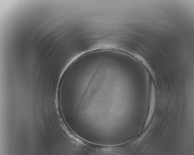 X0000060570904200511101626