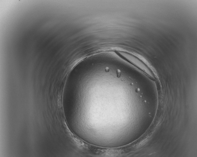 X0000060570905200511101626