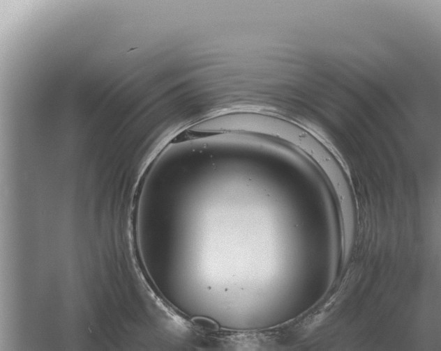 X0000060570906200511101626