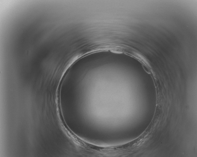 X0000060570907200511101626