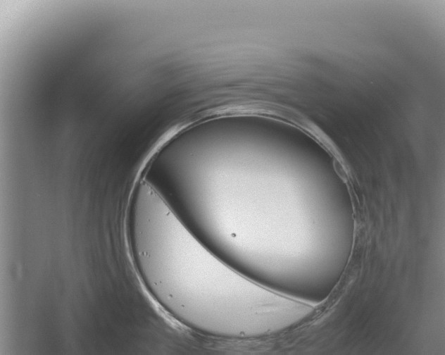 X0000060570909200511101626