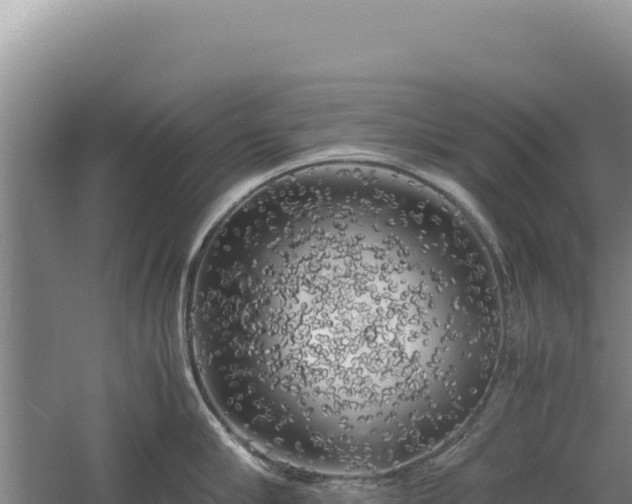 X0000060570910200511101626