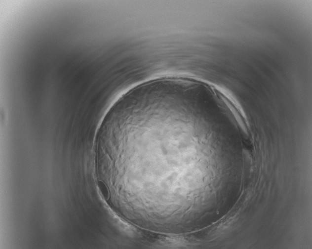 X0000060570911200511101626