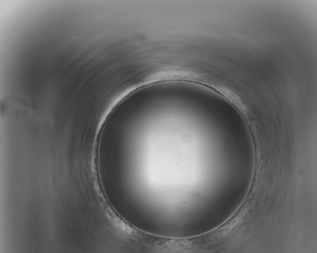 X0000060570912200511101626