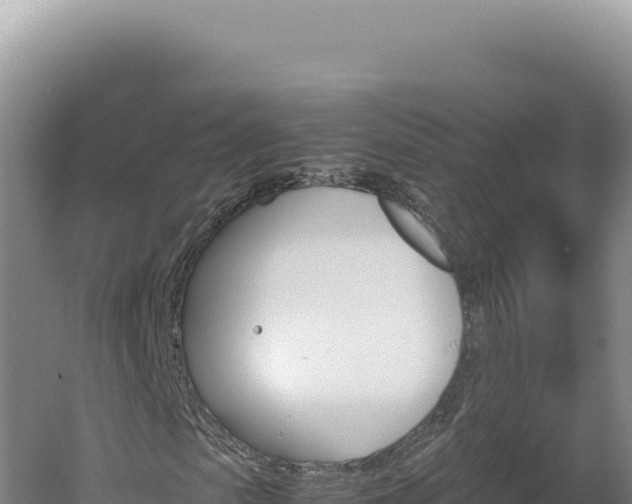 X0000060570913200511101625