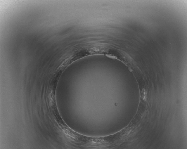 X0000060570915200511101625