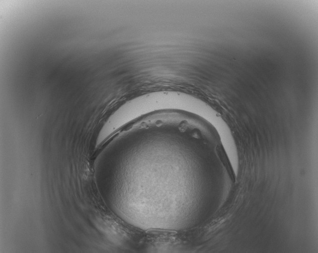 X0000060570916200511101625