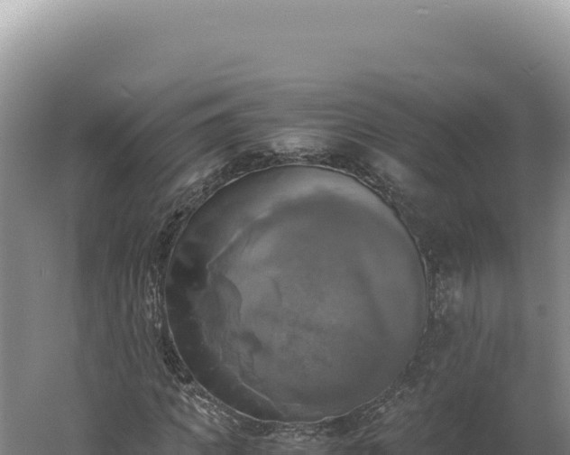 X0000060570917200511101625