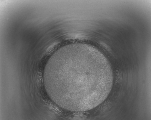 X0000060570918200511101625